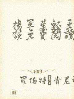 杨军叶轻柔的小说免费阅读无弹窗