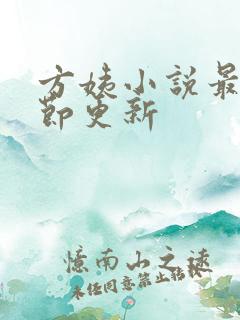 方姨小说最新章节更新