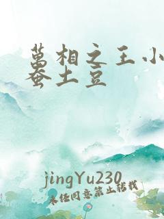万相之王小说天蚕土豆