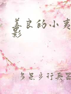 善良的小夷子电影