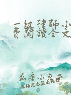 一级律师小说免费阅读全文无删减