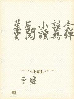 叶风小说全文免费阅读无弹窗