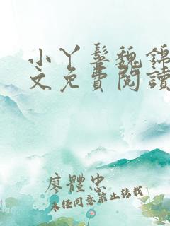 小丫鬟魏锦娘全文免费阅读无弹窗