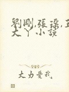 刘刚,张瑶,王大丫小说