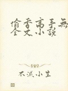 偷香高手无删减全文小说