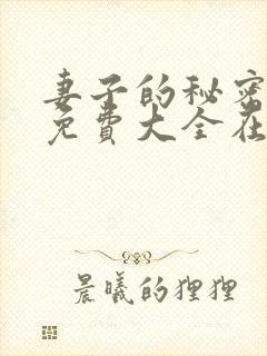 妻子的秘密小说免费大全在线阅读