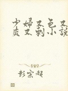 少妇又色又紧又爽又刺小说