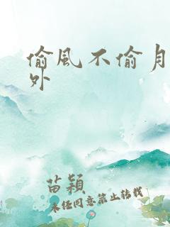 偷风不偷月 番外
