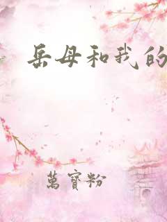 岳母和我的小说