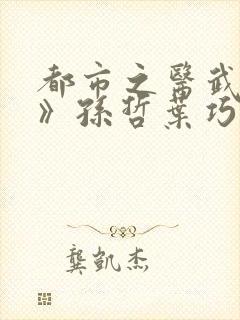 都市之医武风流》孙哲叶巧