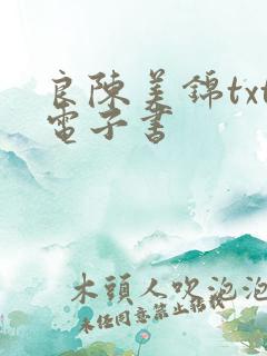 良陈美锦txt电子书