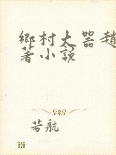 乡村大器赵强原著小说