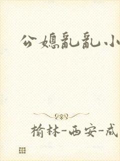 公媳乱乱小说