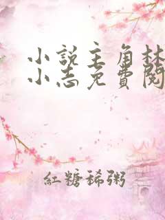 小说主角林姨,小志免费阅读