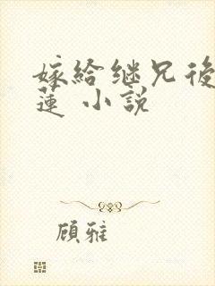 嫁给继兄后四叶莲 小说