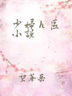 少妇 h 区 小说