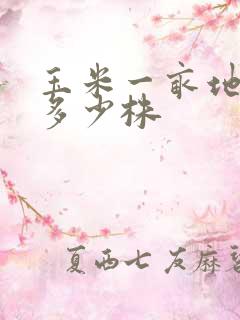 玉米一亩地能种多少株