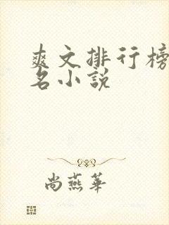爽文排行榜前十名小说
