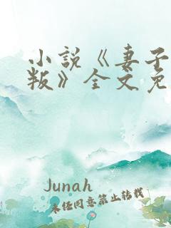 小说《妻子的背叛》全文免费阅读
