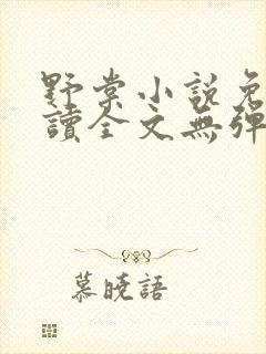 野棠小说免费阅读全文无弹窗