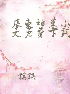 辰东神墓小说全文免费下载
