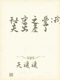 秘密之爱:我丈夫出差了