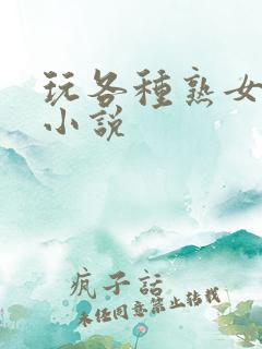 玩各种熟女少妇小说