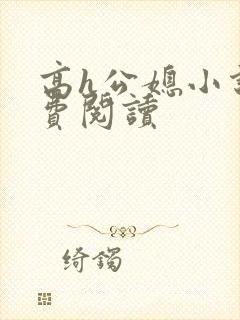 高h公媳小说免费阅读