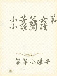 小芳父女第二部小说阅读