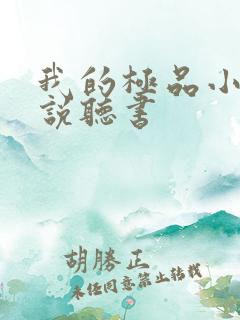我的极品小姨小说听书