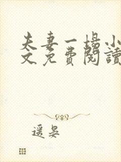 夫妻一场小说全文免费阅读