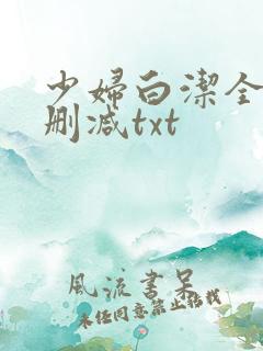 少妇白洁全文无删减txt