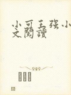 小可王强小说全文阅读