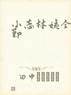 小志林姨全部章节