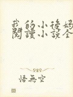 我的小后妈免费阅读小说全文