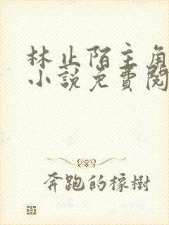 林止陌主角穿越小说免费阅读