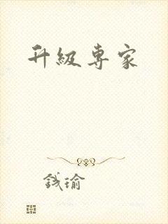 升级专家