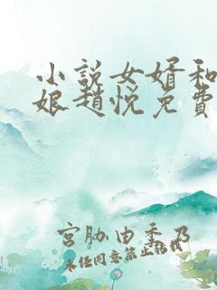 小说女婿和丈母娘赵悦免费阅读
