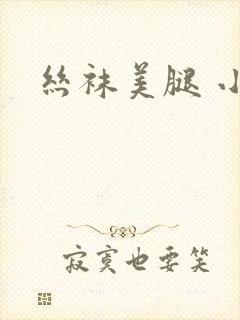 丝袜美腿 小说
