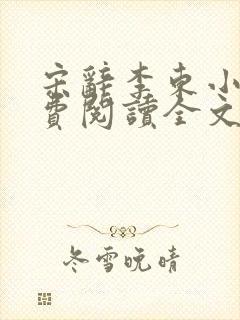 宋辞李东小说免费阅读全文