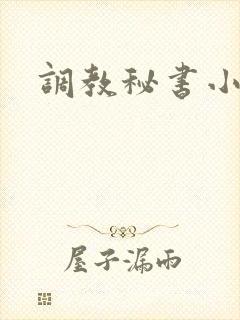 调教秘书小说