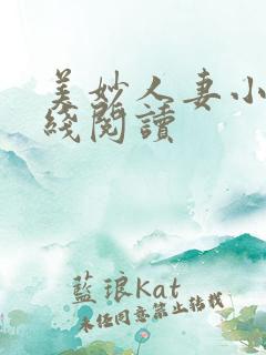 美妙人妻小说在线阅读