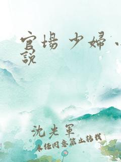 官场 少妇 小说