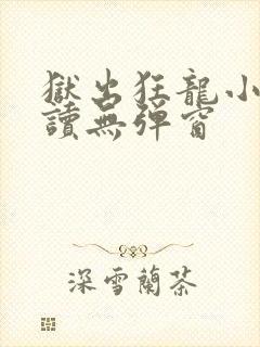 狱出狂龙小说阅读无弹窗