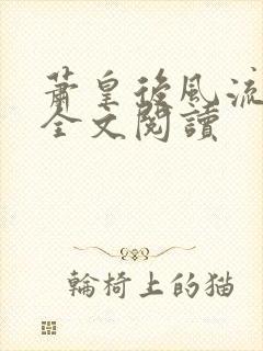 萧皇后风流小说全文阅读