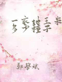 一亩地玉米需要多少种子