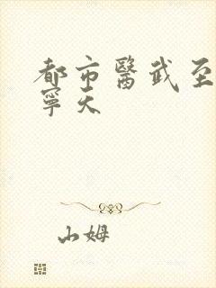 都市医武至尊 宁天
