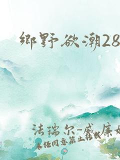 乡野欲潮28章