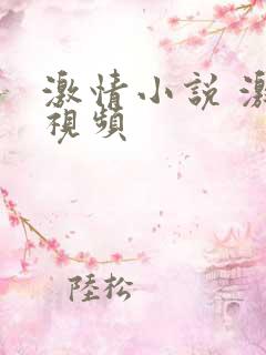 激情小说 激情视频