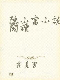 陈小富小说在线阅读